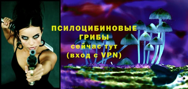 молекула духа Аркадак